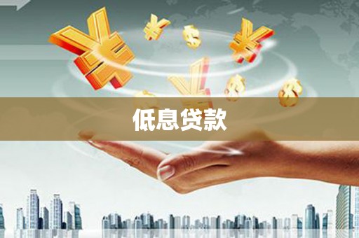 偏关低息贷款