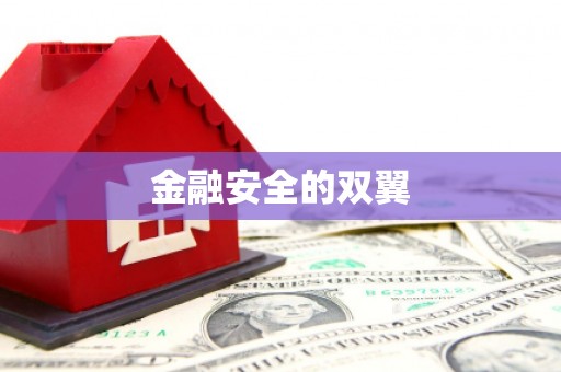 凯里金融安全的双翼