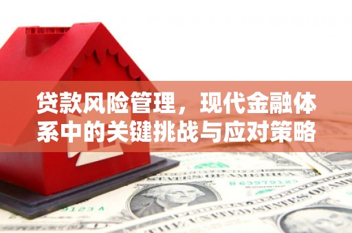 嘉兴贷款风险管理，现代金融体系中的关键挑战与应对策略