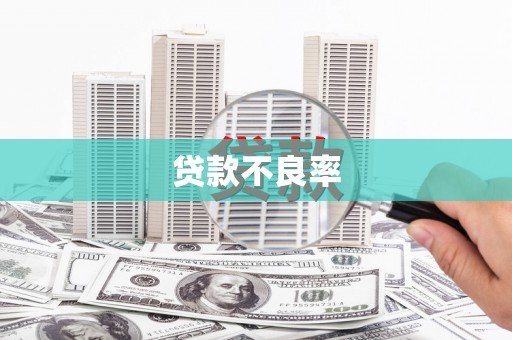 红安贷款不良率