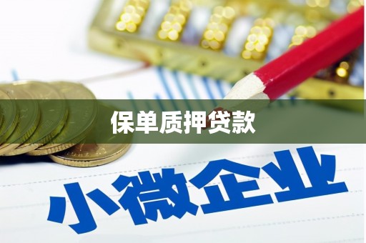 新华保单质押贷款