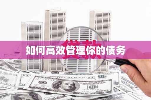 邯郸如何高效管理你的债务