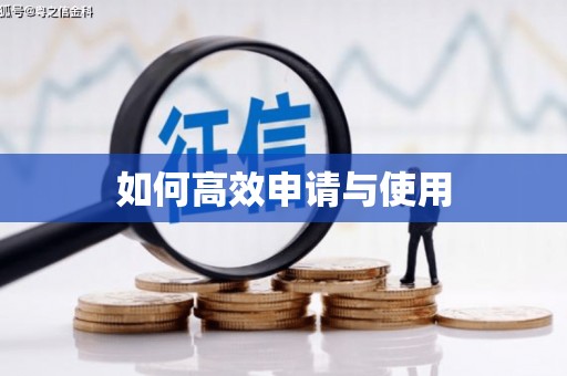 成功如何高效申请与使用